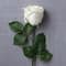 Faux Rose by Ashland®